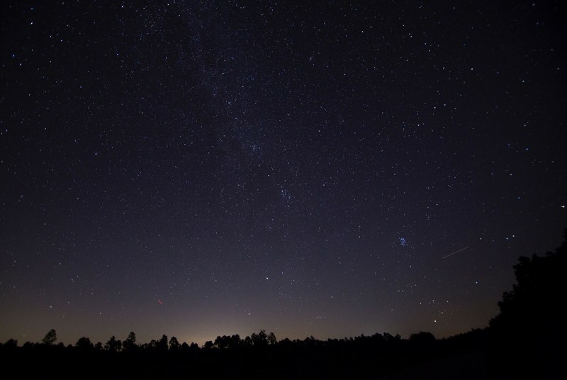 starry sky over a treeline, milky way above trees 4k