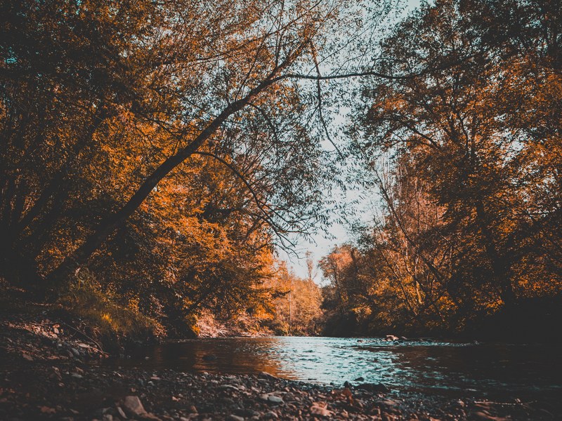 a lake with autumn colored trees on its rocky shores, autumn trees by the lake 4k