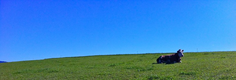 scenic outdoor cloud and field 4k