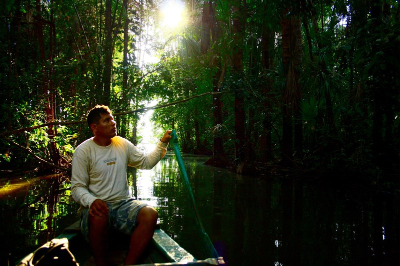 amazon madre de dio jungle and peru 4k