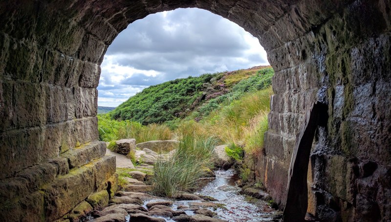 tunnel grass rock and stone 4k