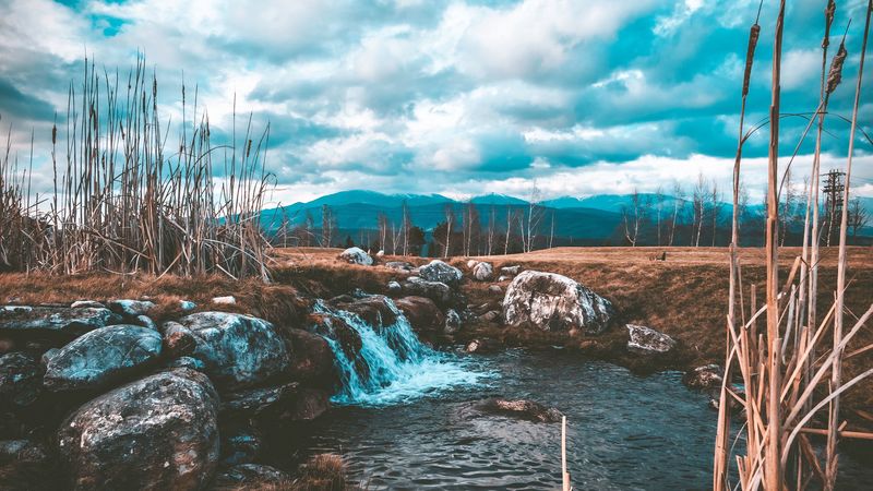 stream, water, stones, grass, 4k