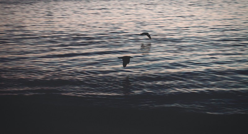 sea ocean water and coast 4k