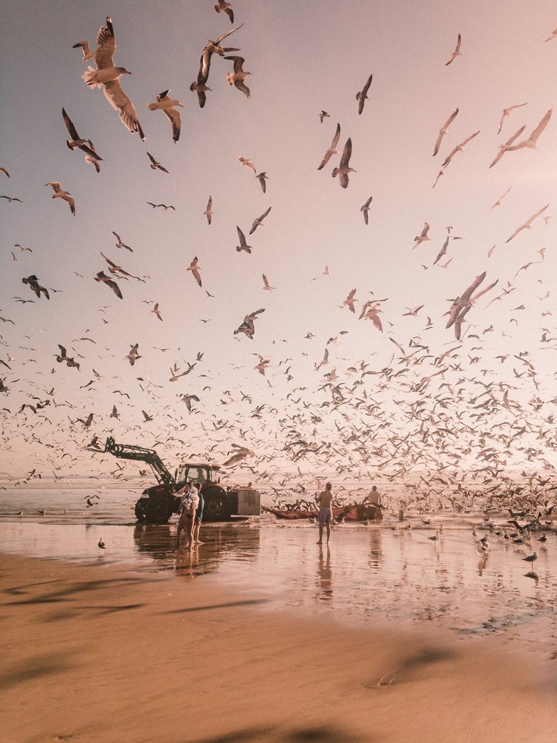 october fisherman and beach hd, 4k
