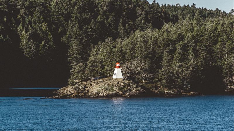 lighthouse, sea, shore, trees, 4k