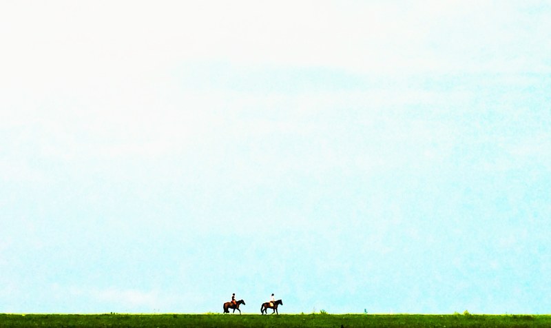riding nature farm and horse riding 4k