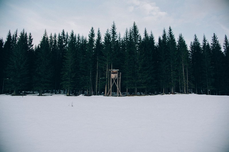 a watchtower on the edge of a wooded forest treeline in the winter, a watchtower on the edge of treeline 4k