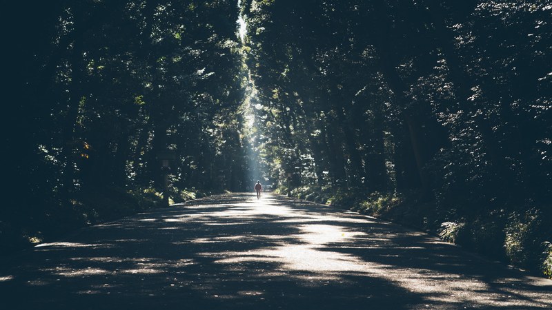 a silhouette of a person on a sunlit tree lined road, sunlit park alley 4k