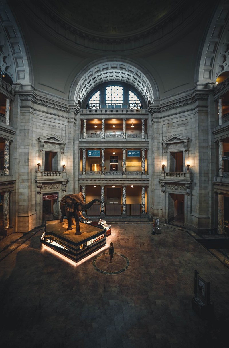 museum museum interior natural history and architecture hd, 4k