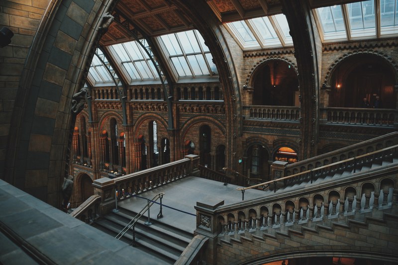 the monumental interior of the national history museum in london, victorian museum interior 4k