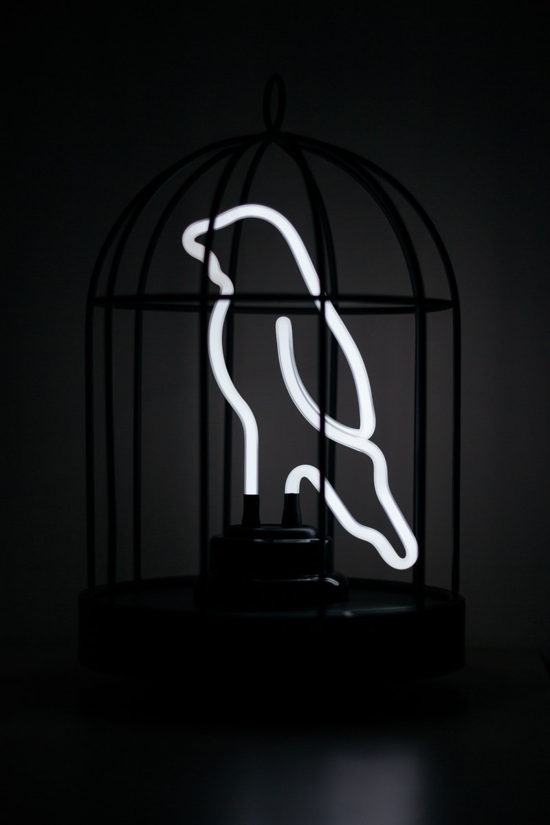 white cage lamp and light hd, 4k