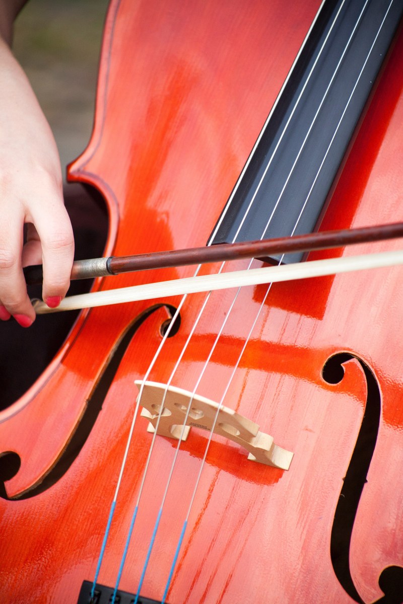 bow music musician and cello hd, 4k