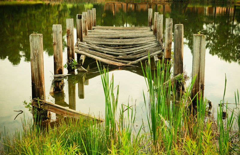 broken dock pond and decay 4k