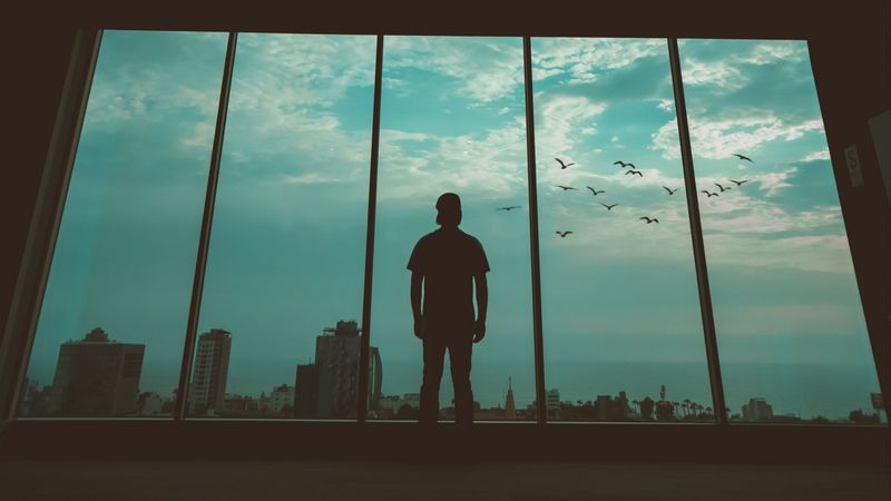 man, silhouette, window, birds, 4k