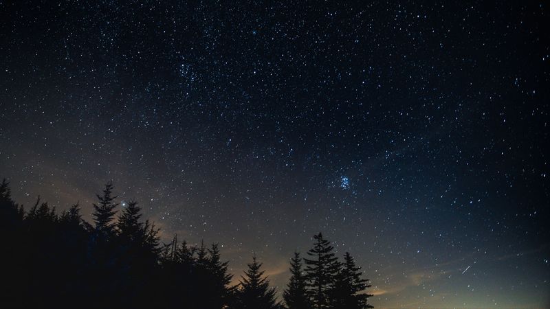 starry sky, night, trees, night landscape, 4k