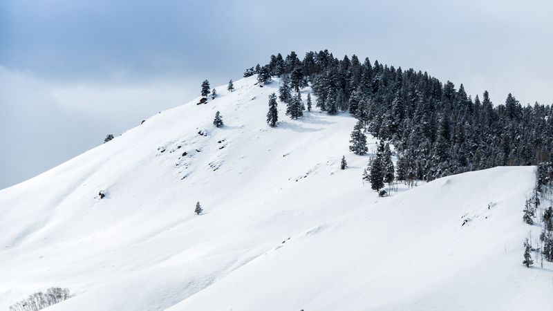 mountains, snow, winter, trees, top, 4k