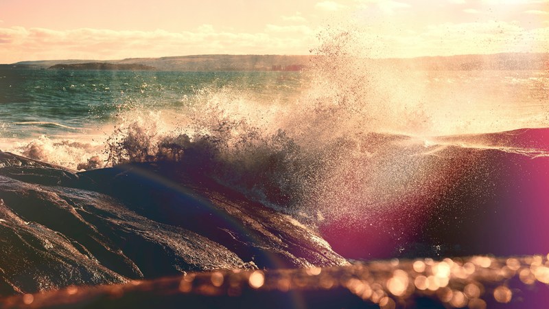 golden light golden hour afternoon and spray 4k
