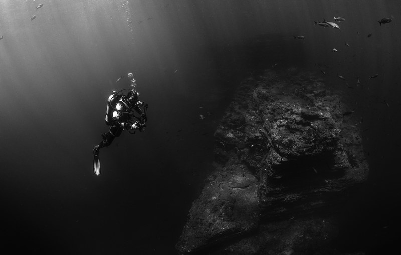underwater diver scuba and reef 4k