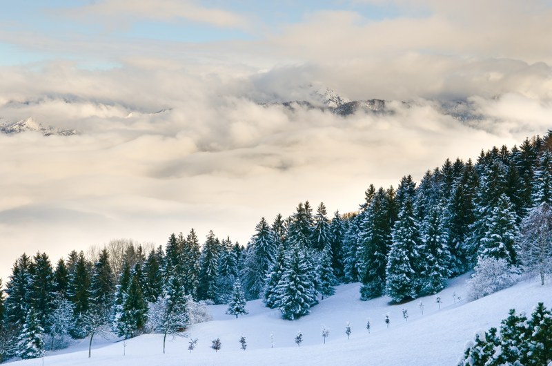 a large cloud behind a tree lined mountain covered in snow, cloud on forest mountain 4k