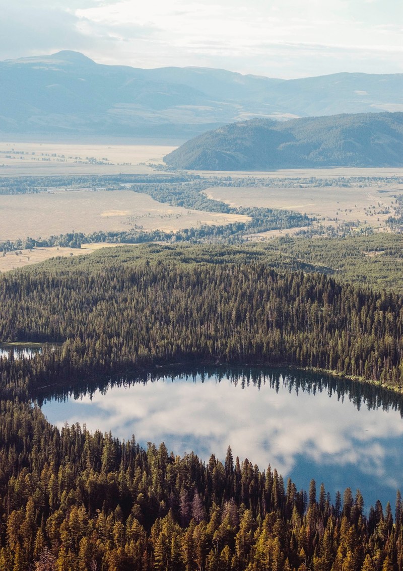a drone shot of a tree lined lake in jackson, trees around a small lake 4k