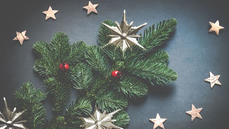 christmas decoration, stars, spruce, 4k