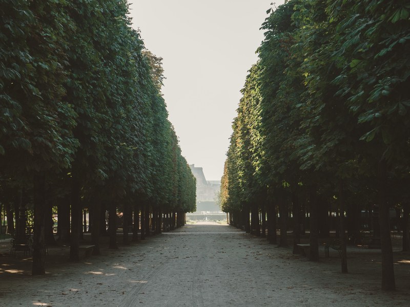 louvre forest sunrise and pari 4k