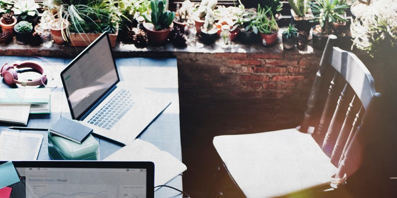 two laptops on a terrace table with a large number of plants on the ledge, laptops and plants on terrace 4k