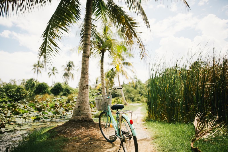 a blue bicycle on a path lined with palm trees in singapore, my favorite trail to bike on 4k