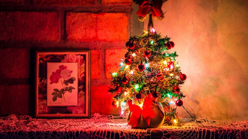 christmas tree, new year, christmas, decoration, garlands, 4k