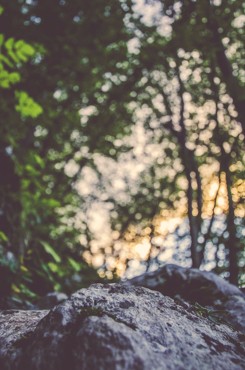 a large coarse rock under a canopy of trees against a bokeh background, rock under bokeh light 4k