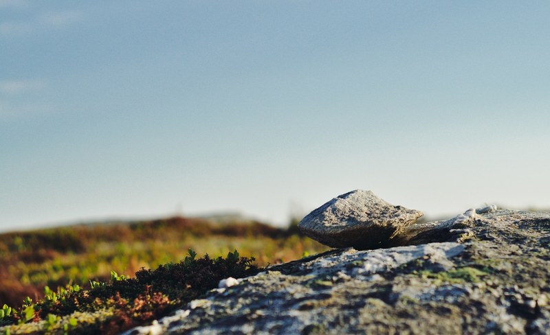 a low close up of jagged rocks and moss under a blue sky, rough rock in macro 4k