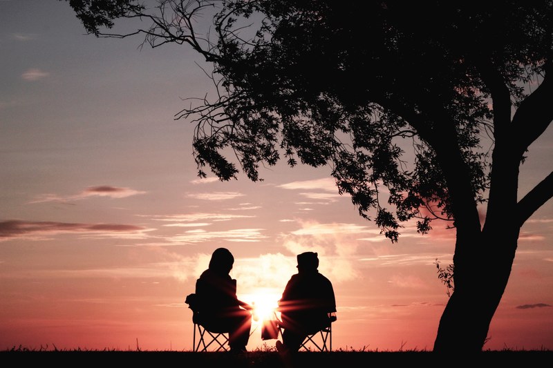 silhouette of two people in hoodies sitting under a tree and watching a pink sunset, pink sunset couple 4k