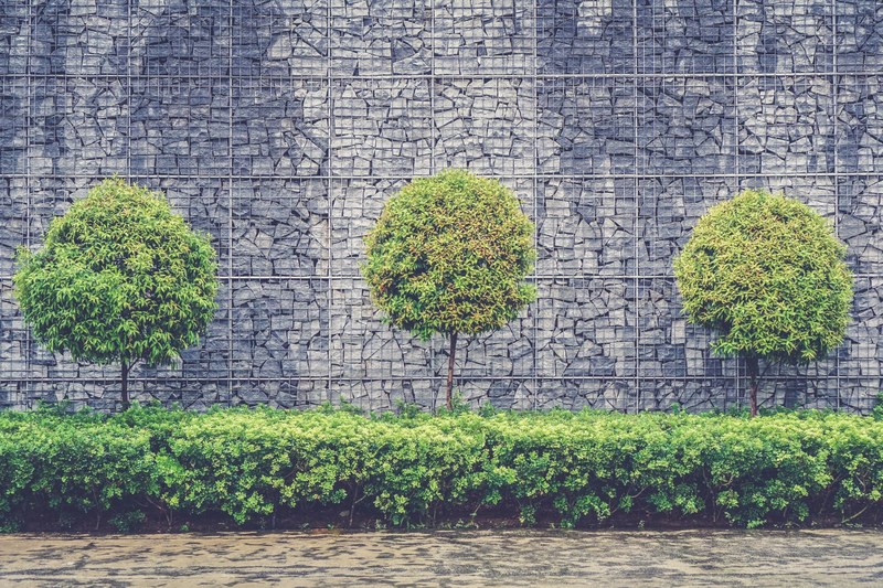 wall tree retaining wall and stone 4k