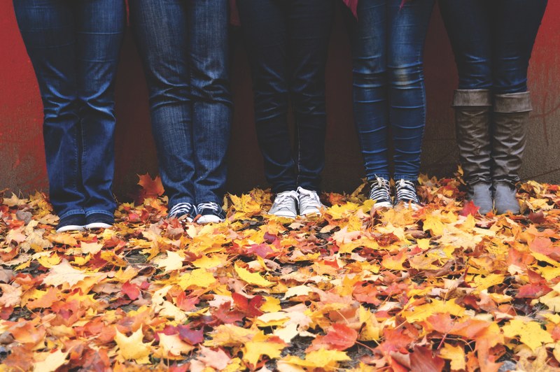 people standing in a line on a ground filled with autumn leaves in crabtree, standing in autumn leaves 4k