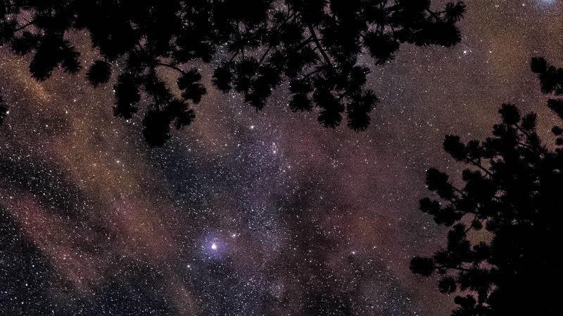 starry sky, stars, trees, glitter, 4k