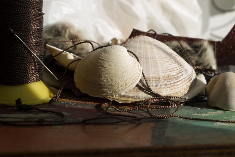 shell seashell bobbin and string 4k