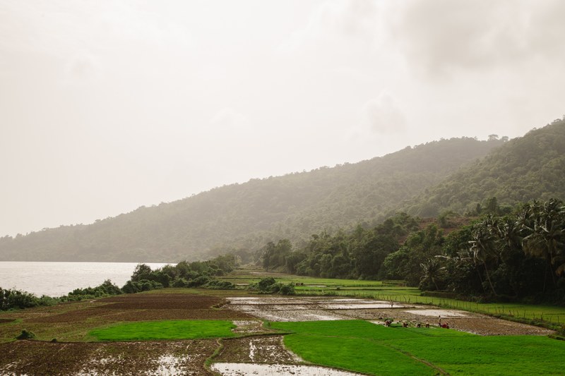fields of green ravi pinisetti canon 5d mark ii and canon 4k