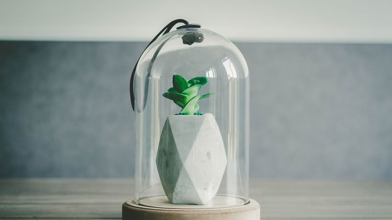flower, can, bottle, shape, 4k