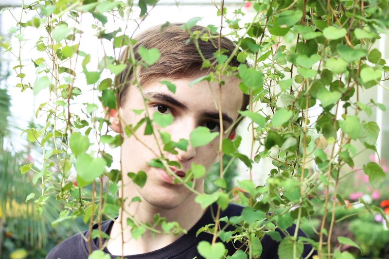 vine tumblr artsy and nature 4k