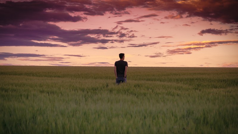 man with hands in pocket standing in a field of grass looking at the setting sun, man in field setting sun 4k