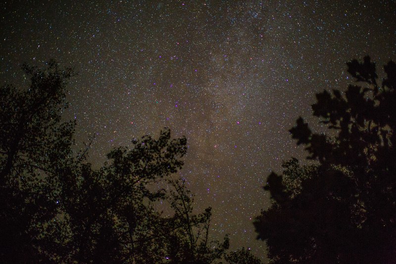 silhouette of trees against the night sky full of stars at the great smoky mountains, stars great smoky mountains 4k