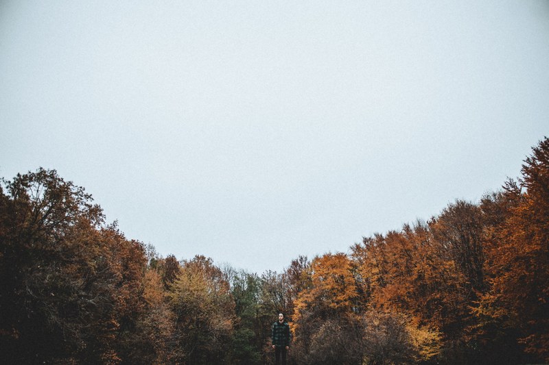 a man standing against the backdrop of autumn colored trees, man near orange trees 4k