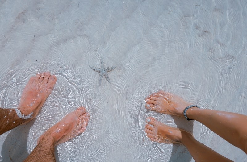 two peoples feet in the sea next to a starfish, starfish in water 4k