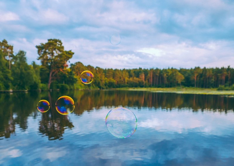 bubble floating wood and forrest 4k
