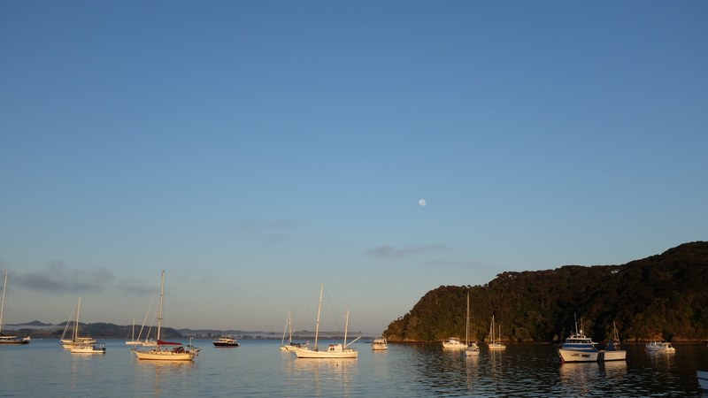 sailboat sea and boat 4k