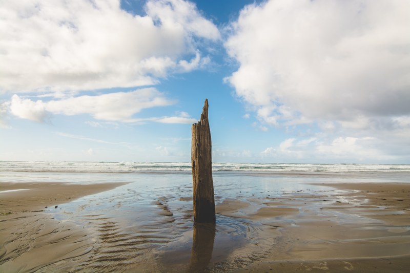 piece of broken wooden pole on the wet sand beach, woden pole on the sand beach 4k