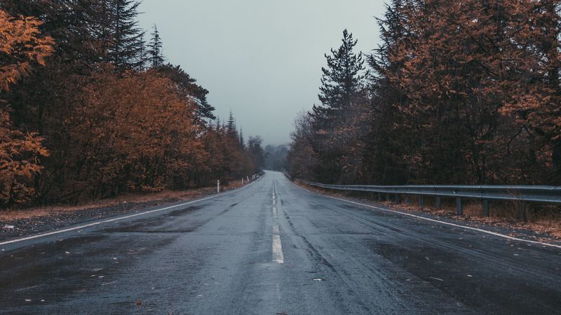 road, marking, trees, overcast, 4k