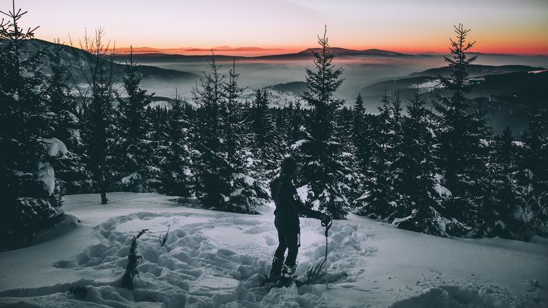 skier, snow, winter, trees, 4k