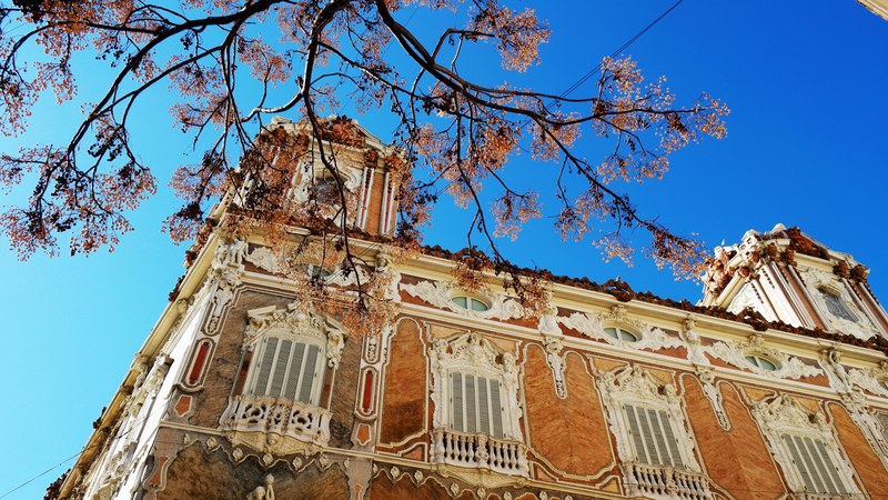 building architecture blue sky and tree 4k