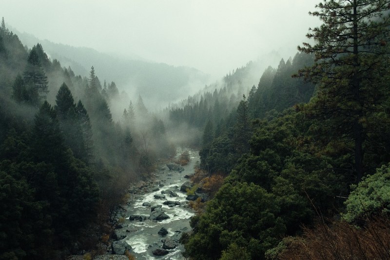 nov in sierra 4k